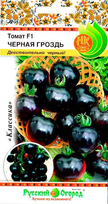 томат черная гроздь